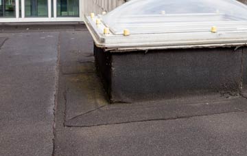 disadvantages of Lydbury North flat roofs