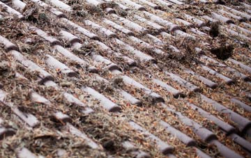 Lydbury North roof cleaning companies